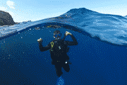 Pixelated photo of Piotr in scuba gear just below the sea surface